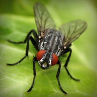 /album/mmagrintarowward/photolia-a01-jpg/
