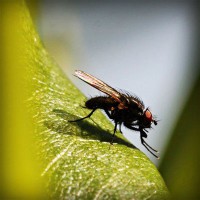 /album/mmagrintarowward/photolia-a04-jpg/