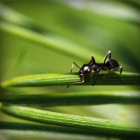 /album/mmagrintarowward/photolia-a05-jpg/