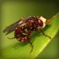 /album/mmagrintarowward/photolia-a06-jpg/
